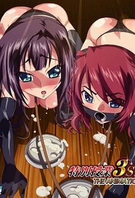 Tokubetsu Jugyou 3 SLG The Animation